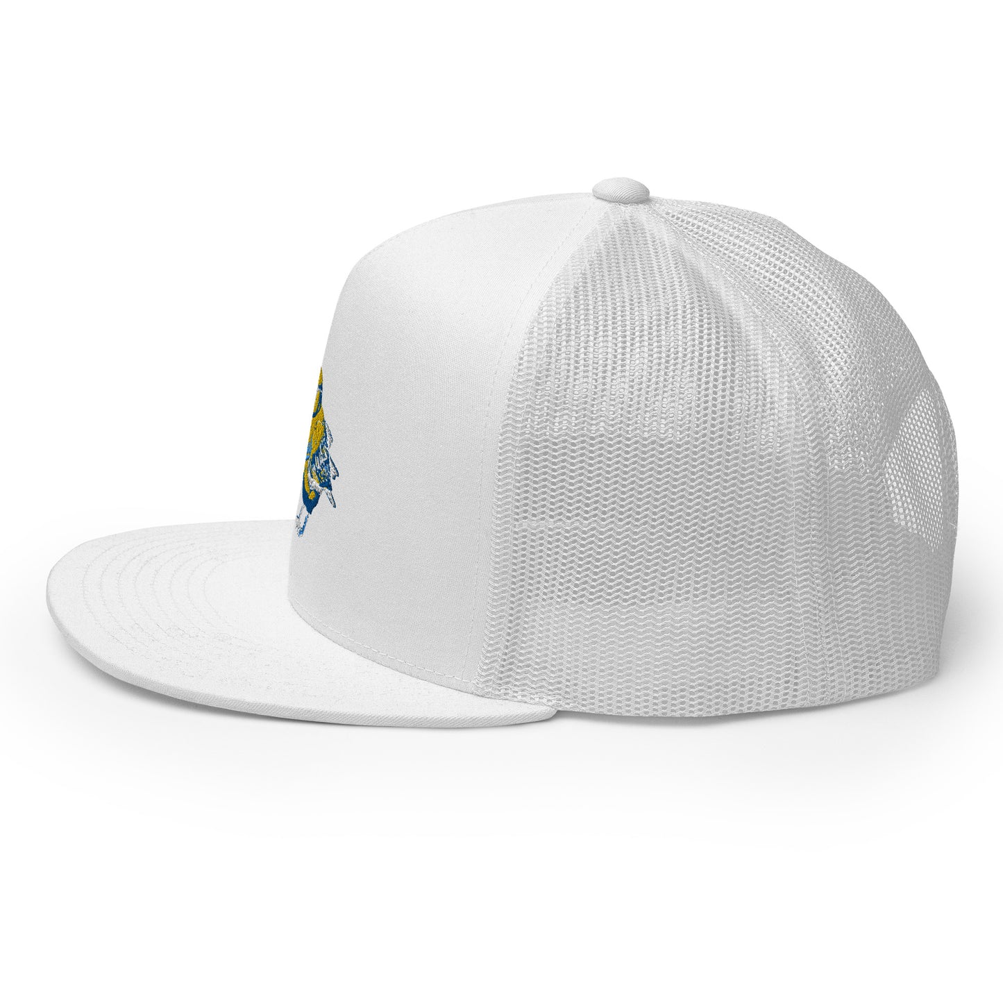 Tweets Mascot - Hat