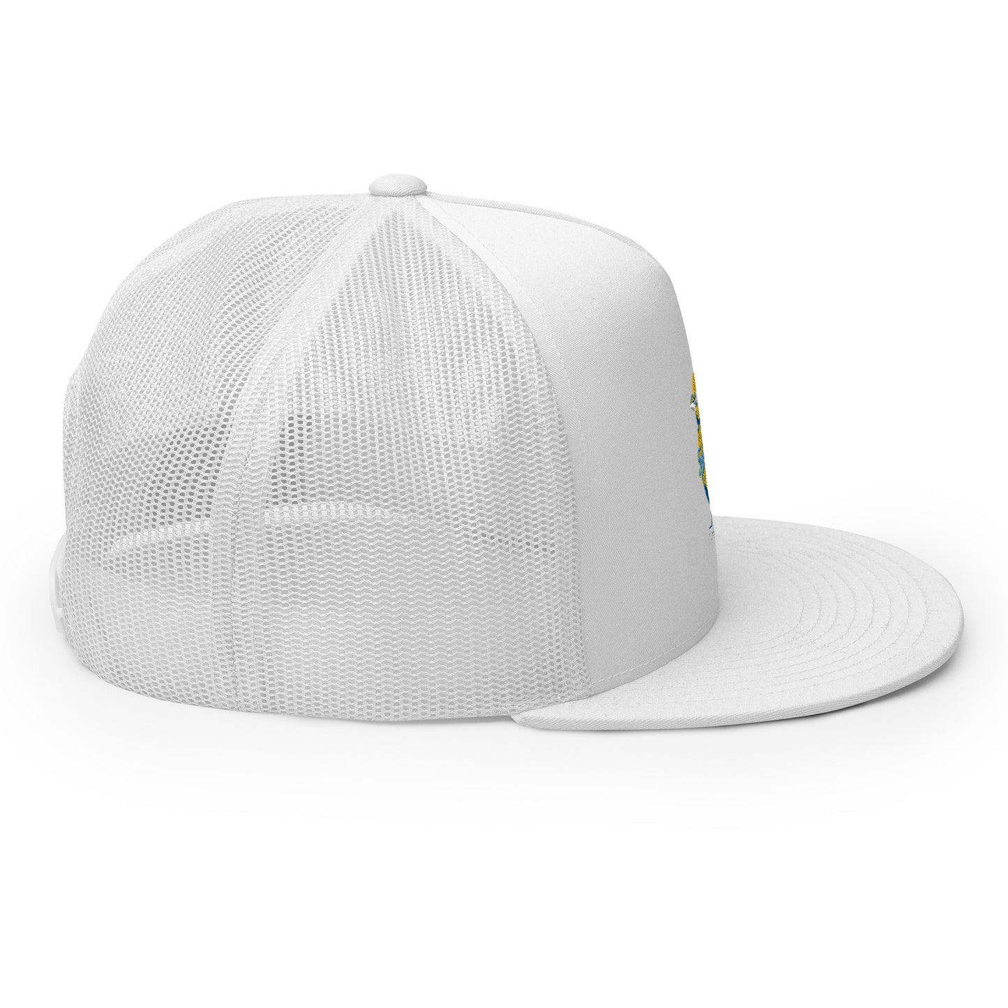 Tweets Mascot - Hat